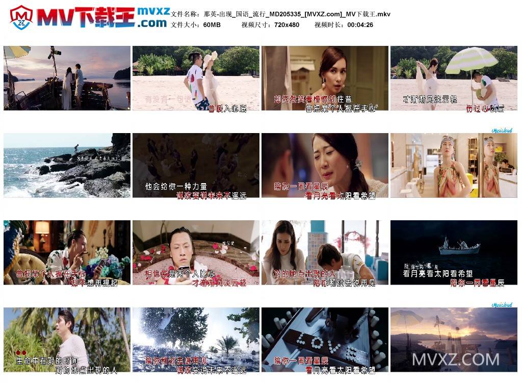 那英-出现_国语_流行_MD205335